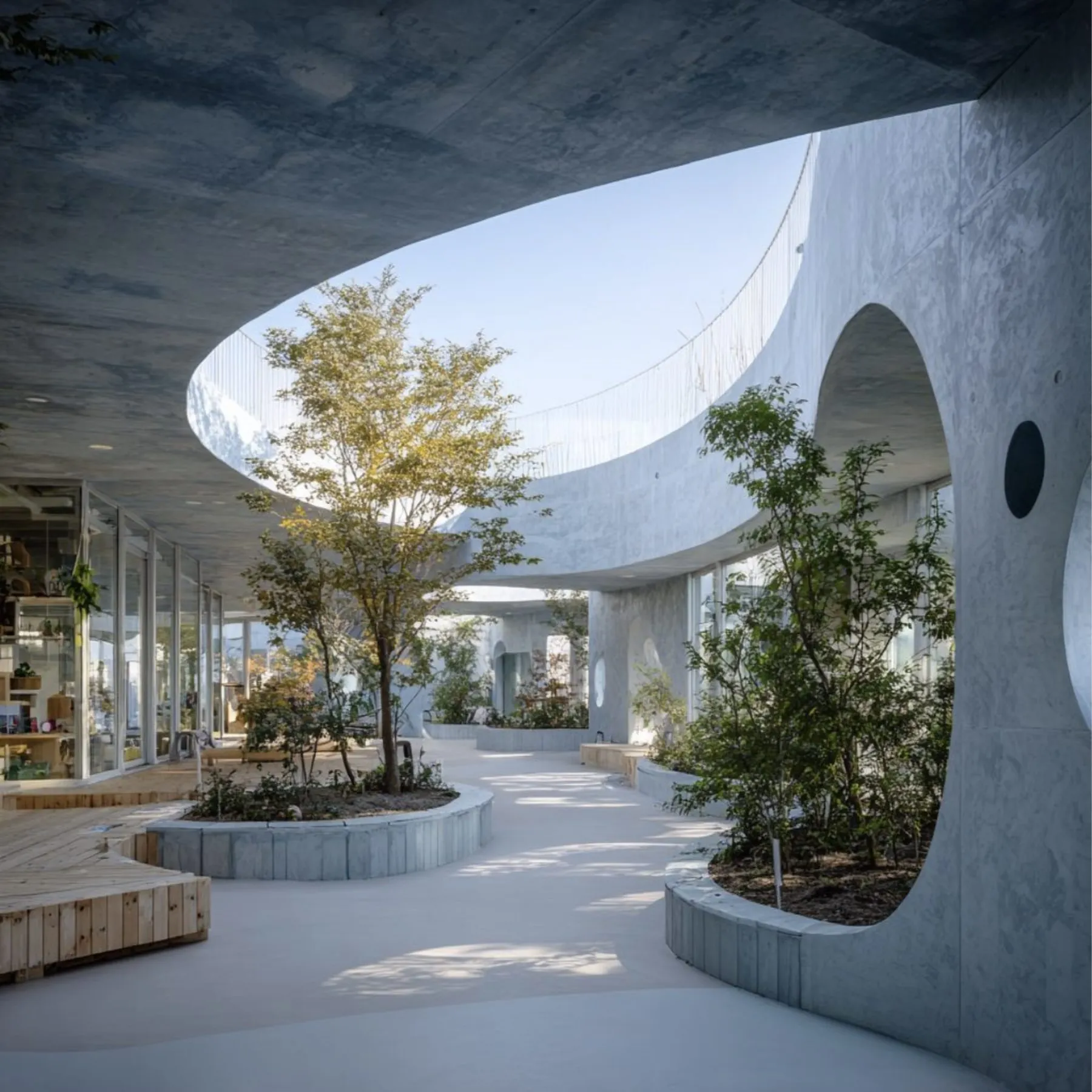 Patio central planté, architecture basse et courbe baignée de lumière naturelle