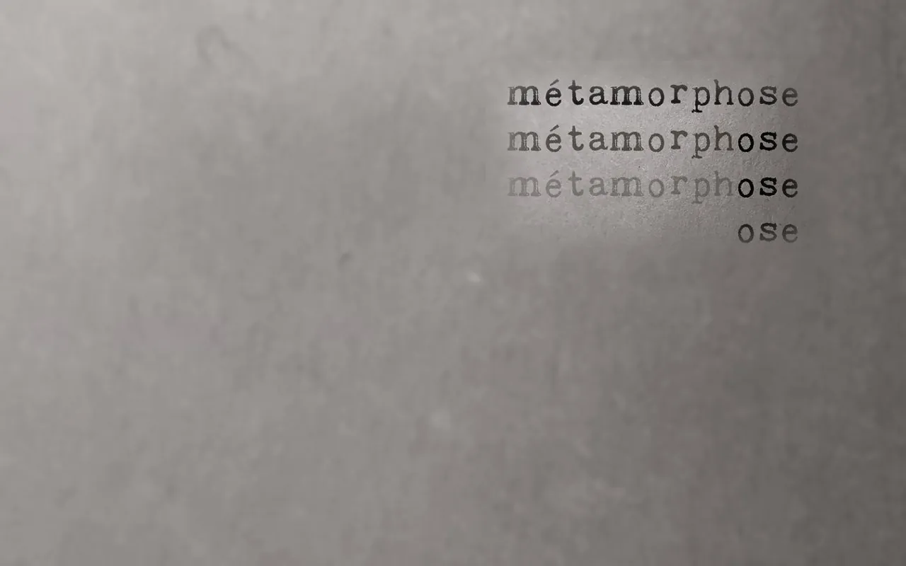 Le mot métamorphose s’efface jusqu’à ne laisser que ose